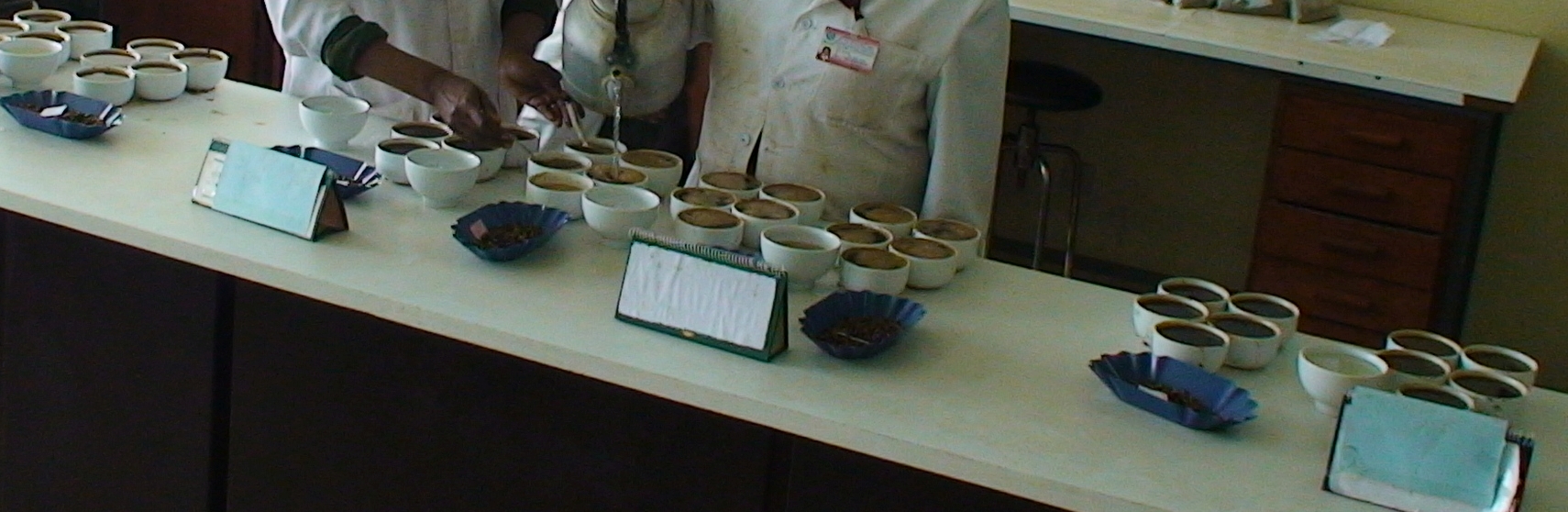 coffee cupping Vorbereitung