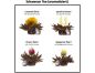 Preview: enthaltene Teeblüten