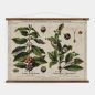 Preview: historische Lehrtafel Kaffee und Tee