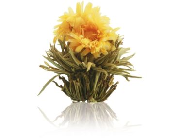 weiße Teeblüte "Sonnenwende"