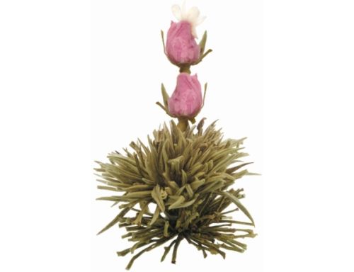 weiße Teeblüte "Juweltröpfchen"