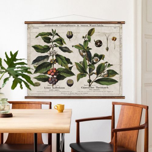 historische Lehrtafel Kaffee und Tee