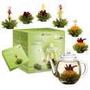 Creano Geschenkset ErblühTee “Grüner Tee”